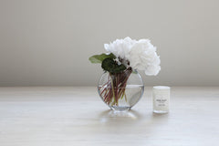 Palm Beach Mini Clove & Sandalwood